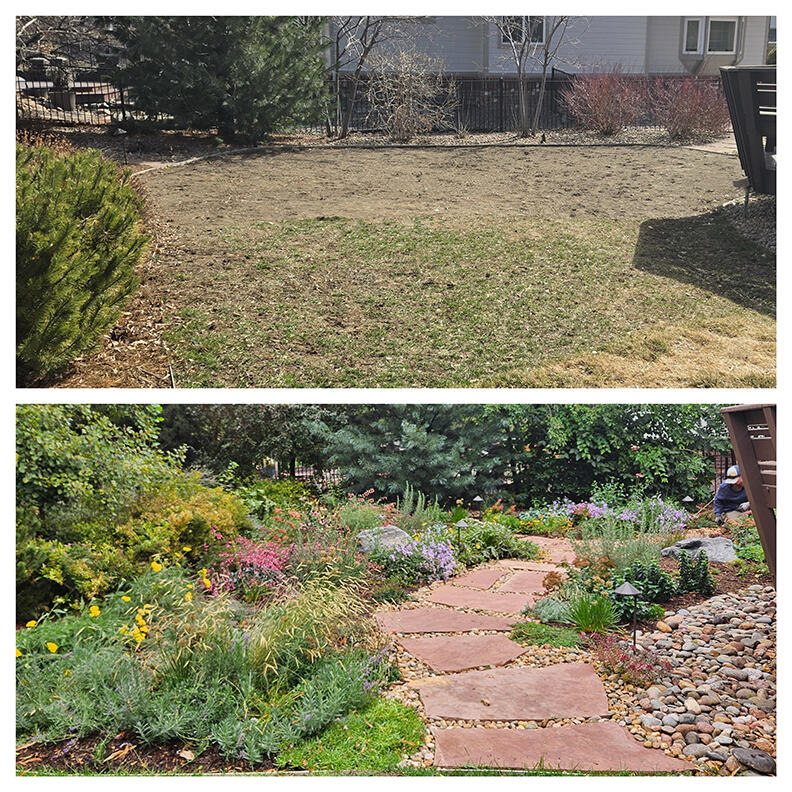 A "lawn reduction" project. Removal of lawn space cuts down the water usage for a more water wise native pollinator garden.